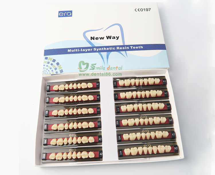 SDT-R102 Three Layer Acrylic Resin Teeth